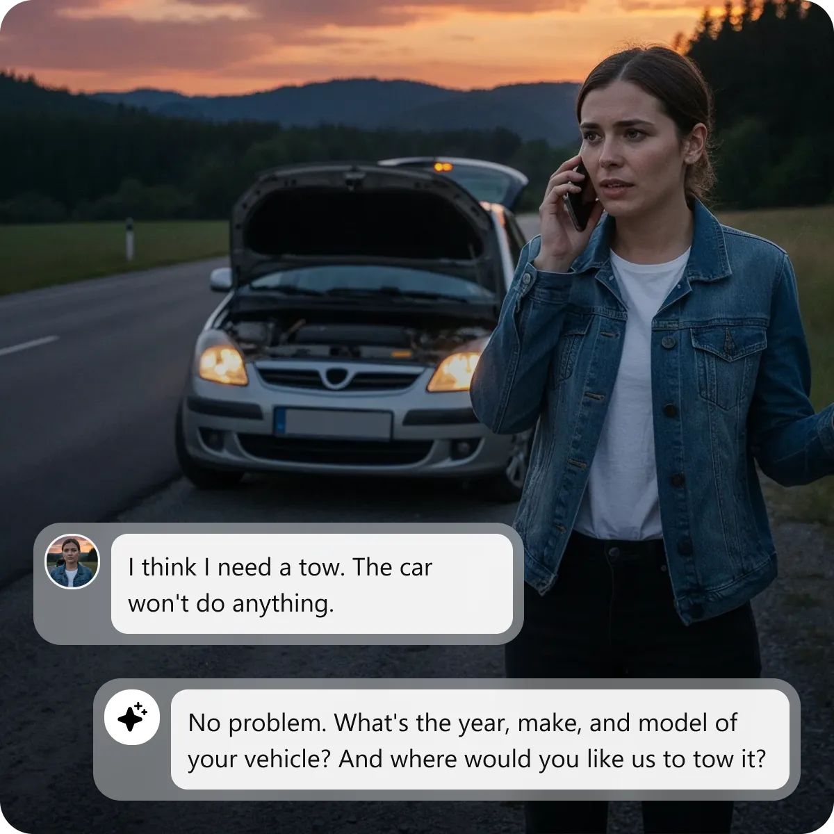 Capture Complete Dispatch Details Through Conversation
