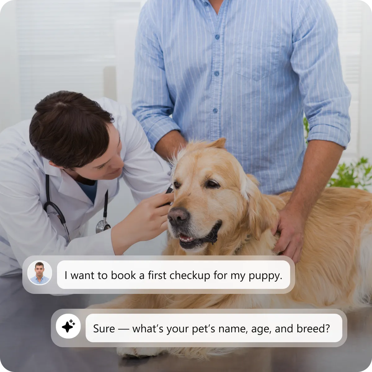 Pet Information Captured Through Custom Forms