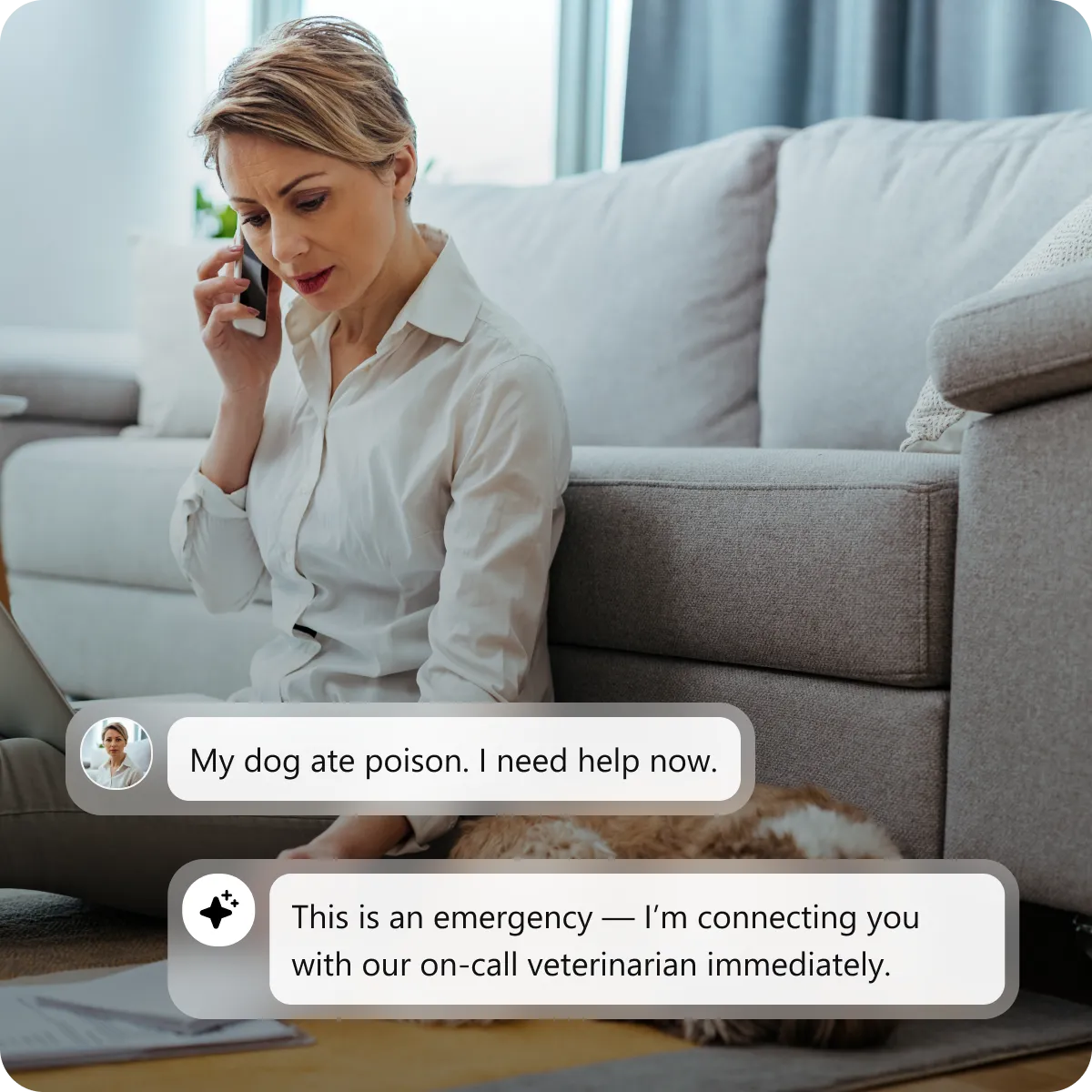Smart Routing Based on Pet Emergency Level