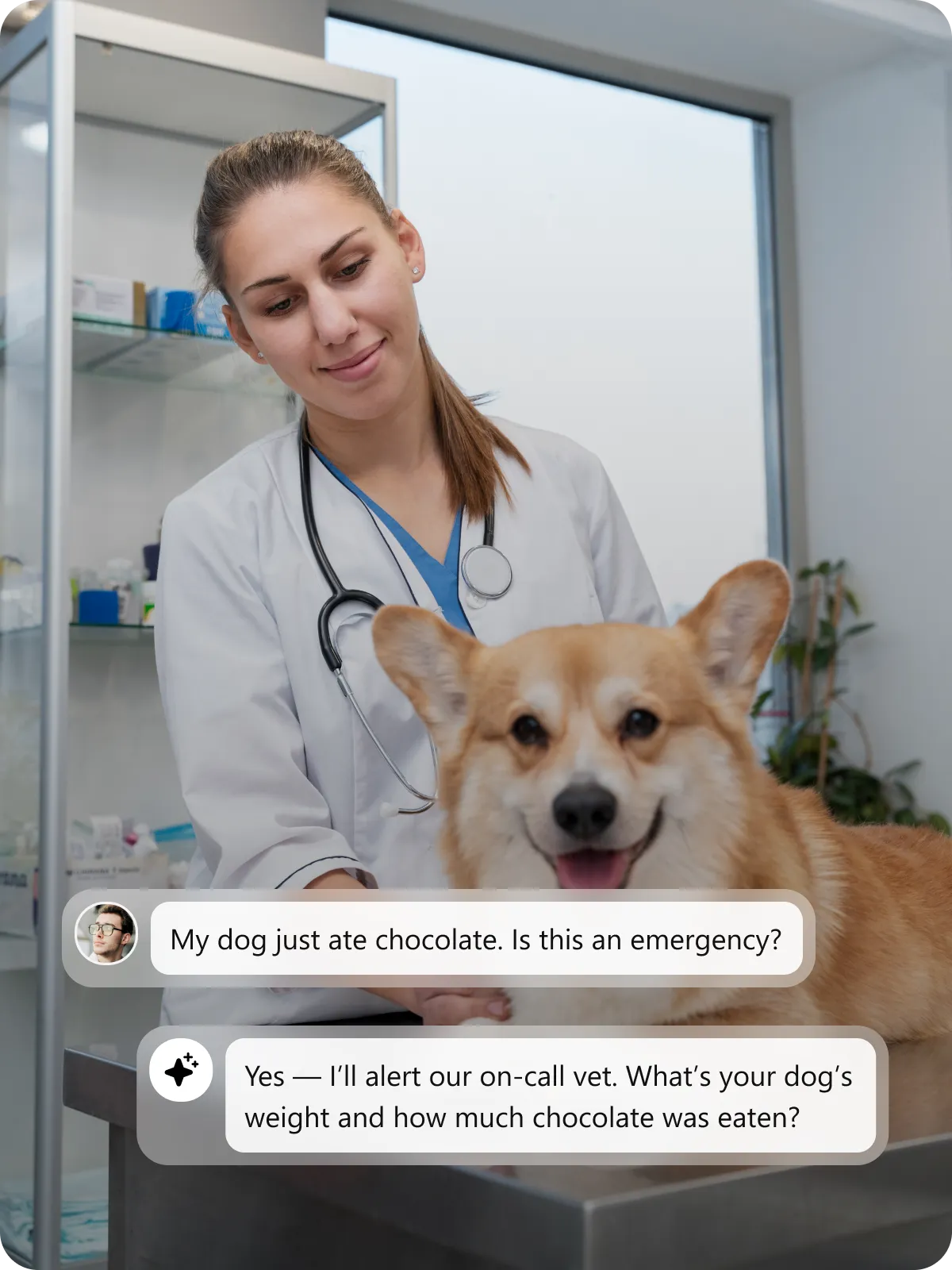 Veterinarians Answering Services 